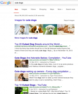 cute_dogs_-_Google_Search